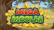 Slot popular cu jackpot de la Microgaming