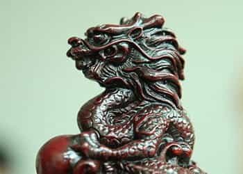 A lucky dragon.