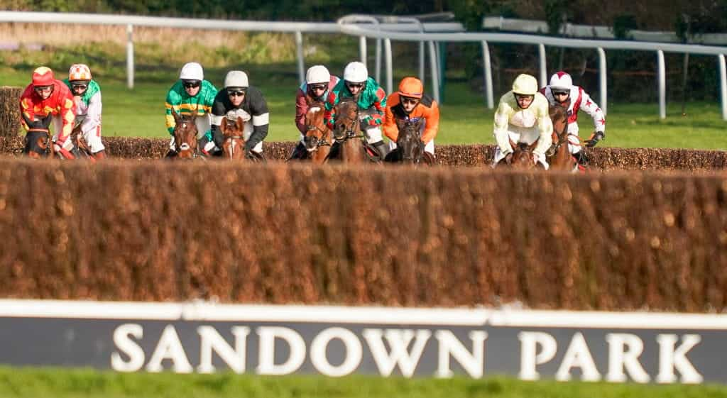 National hunt horses racing at Sandown Park.