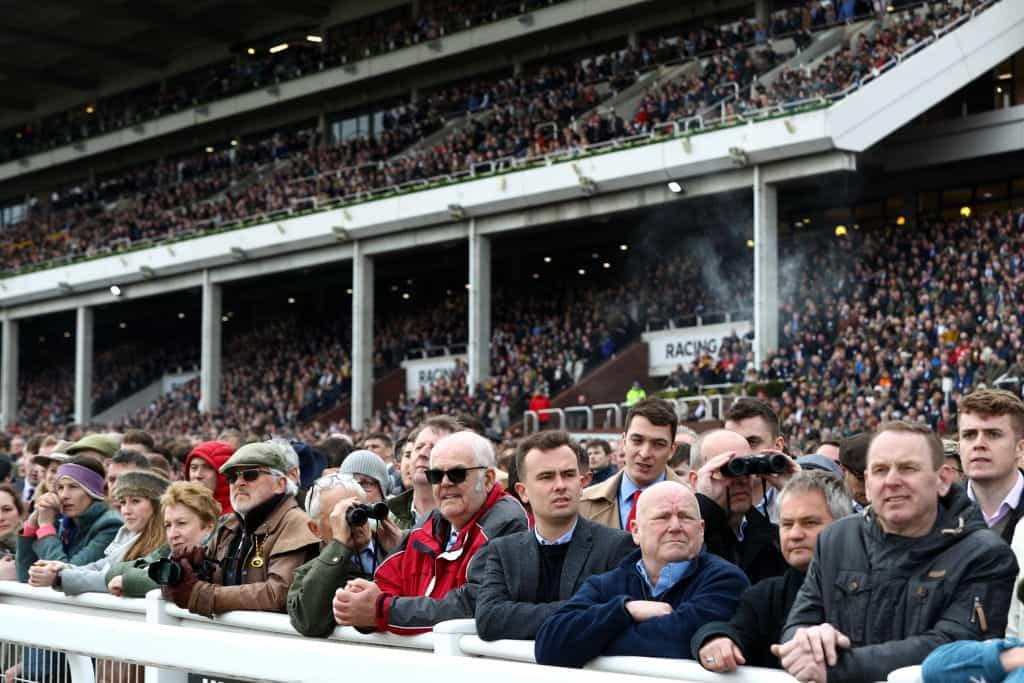 Huge crowds in the Cheltenham grandstands waiting for race action to start.