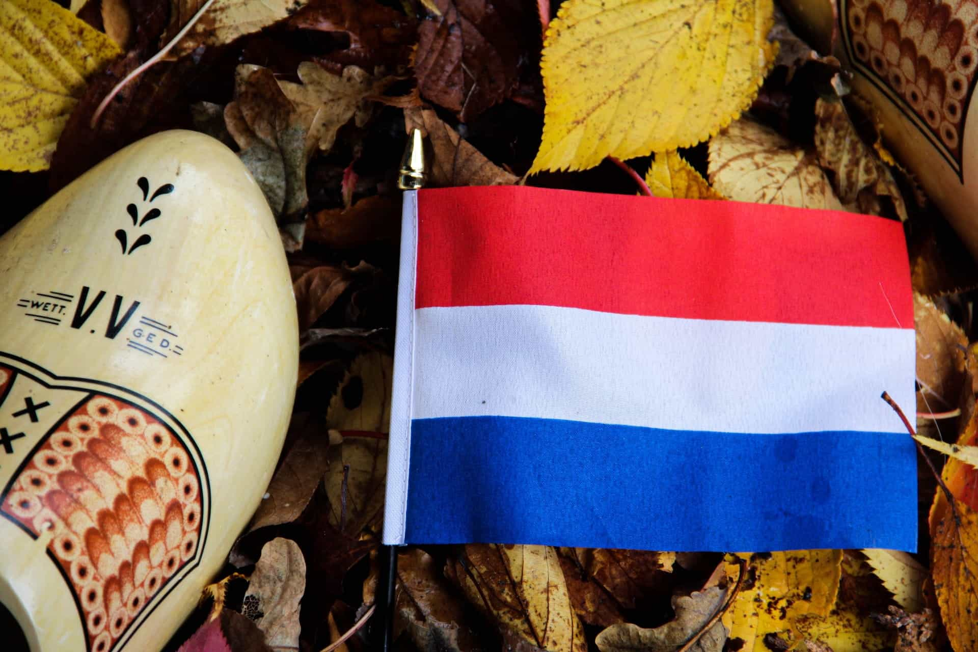 The Dutch flag with clogs.