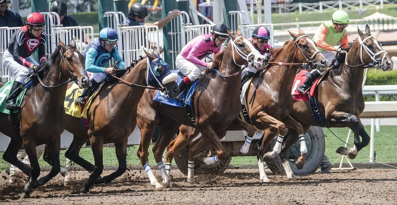 A row of five horses and their jockeys bursting out of the starting gates on a horse racing track during the start of a race. 