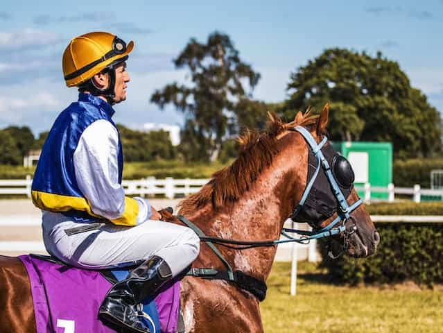 A jockey in silks sitting on a racehorse.